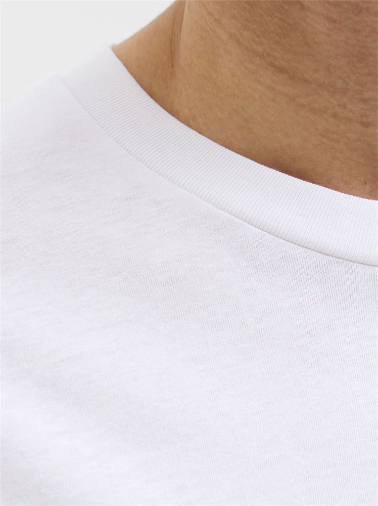JJPALM TEE SS CREW NECK LN - 12269418