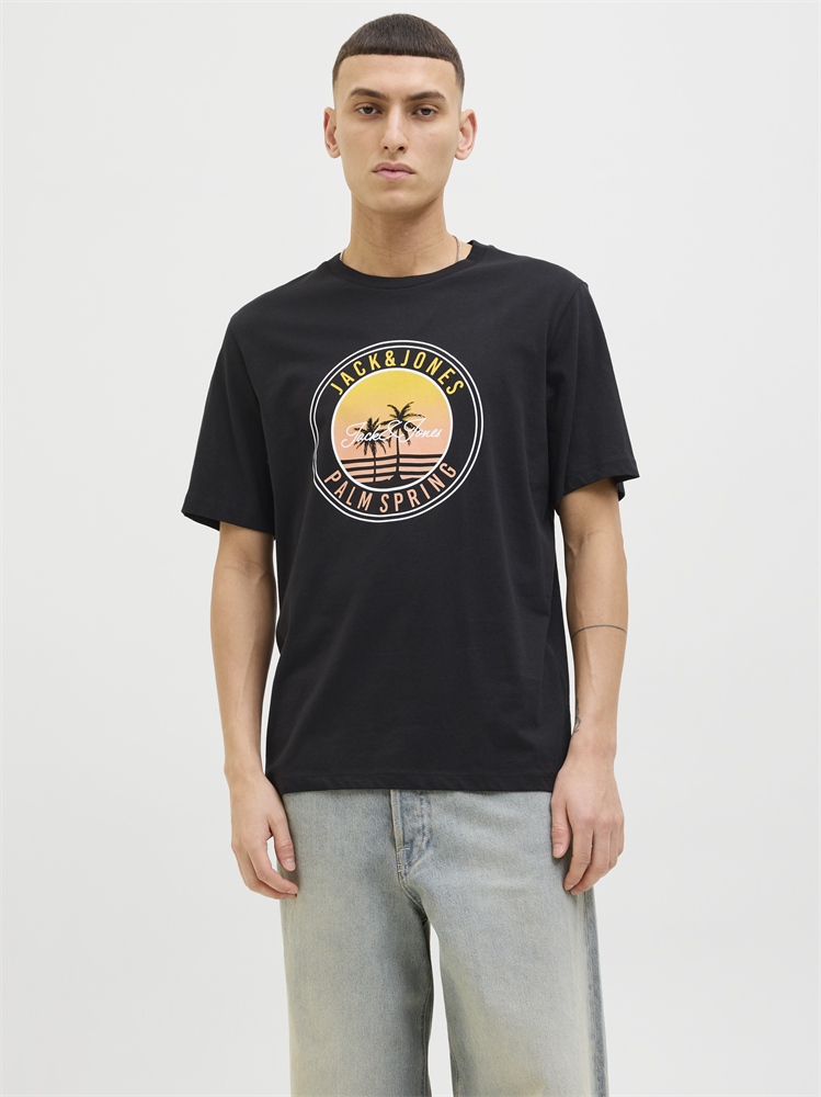 JJPALM TEE SS CREW NECK LN - 12269418