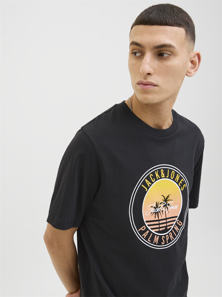 JJPALM TEE SS CREW NECK LN - 12269418