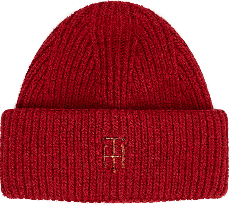 TH ELEVATED BEANIE - AW0AW10616