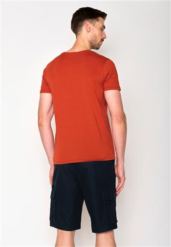 Animal Donkey Surf - 27_7312