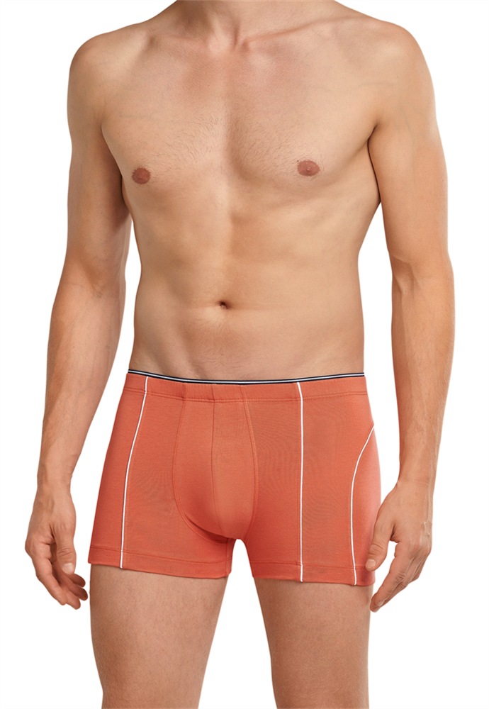 Shorts - 173806