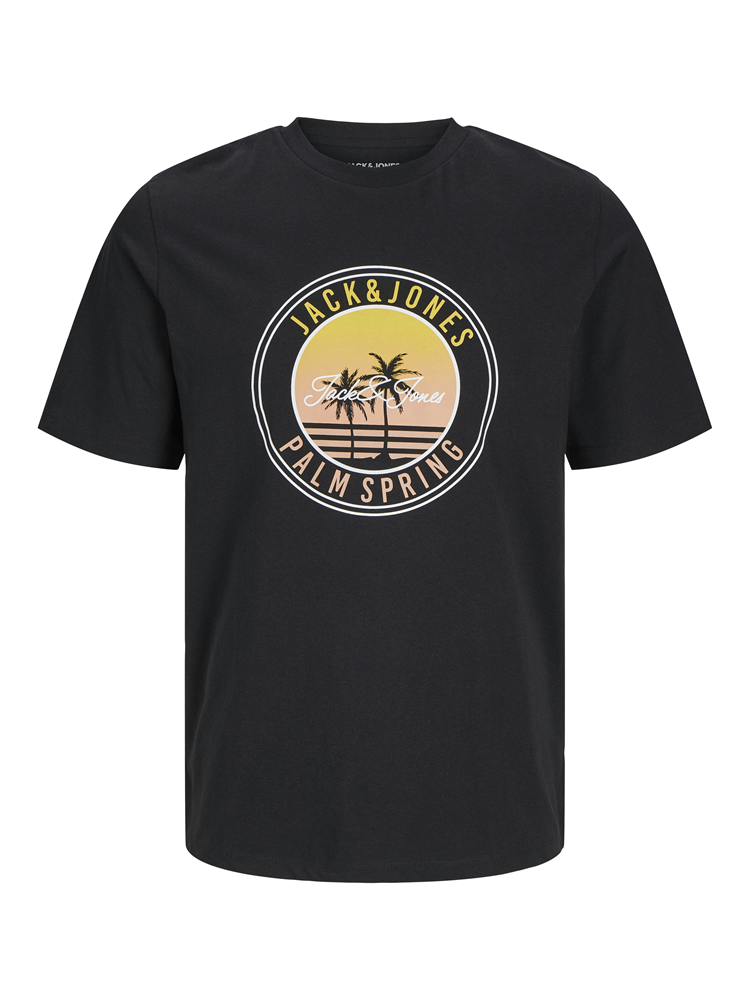 JJPALM TEE SS CREW NECK LN - 12269418