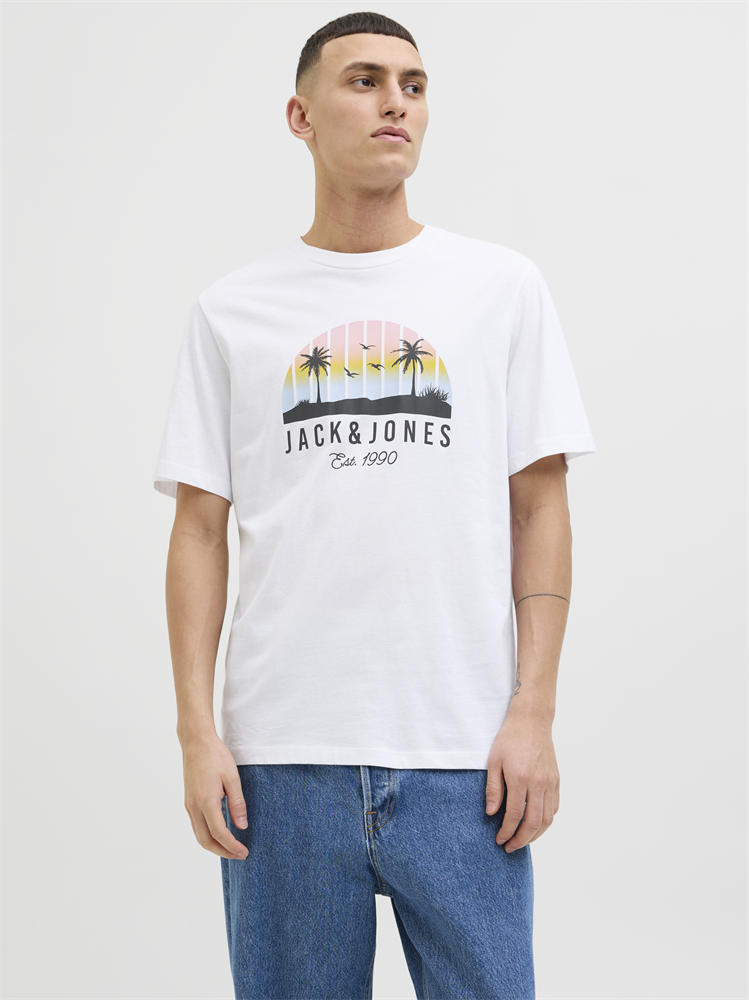 JJPALM TEE SS CREW NECK LN - 12269418