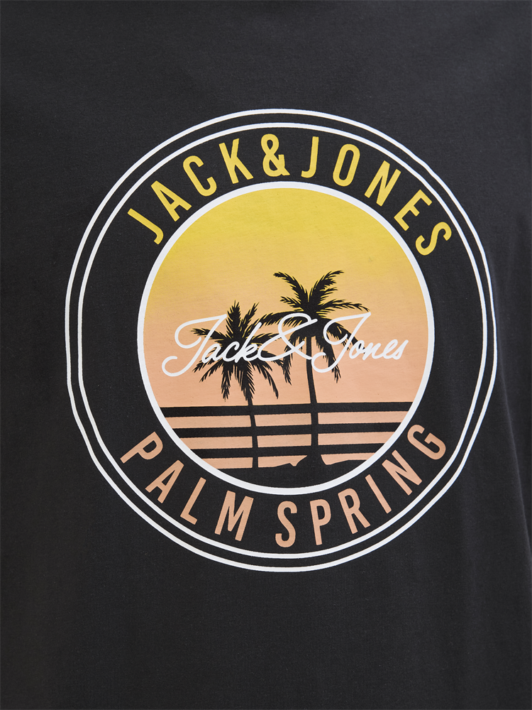 JJPALM TEE SS CREW NECK LN - 12269418