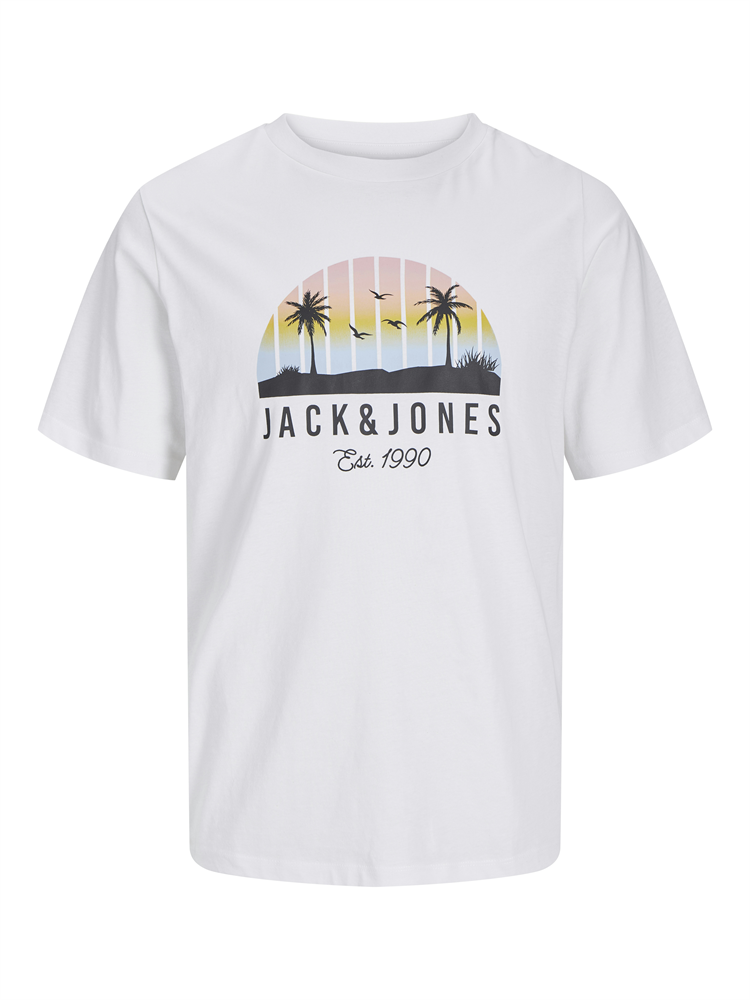 JJPALM TEE SS CREW NECK LN - 12269418