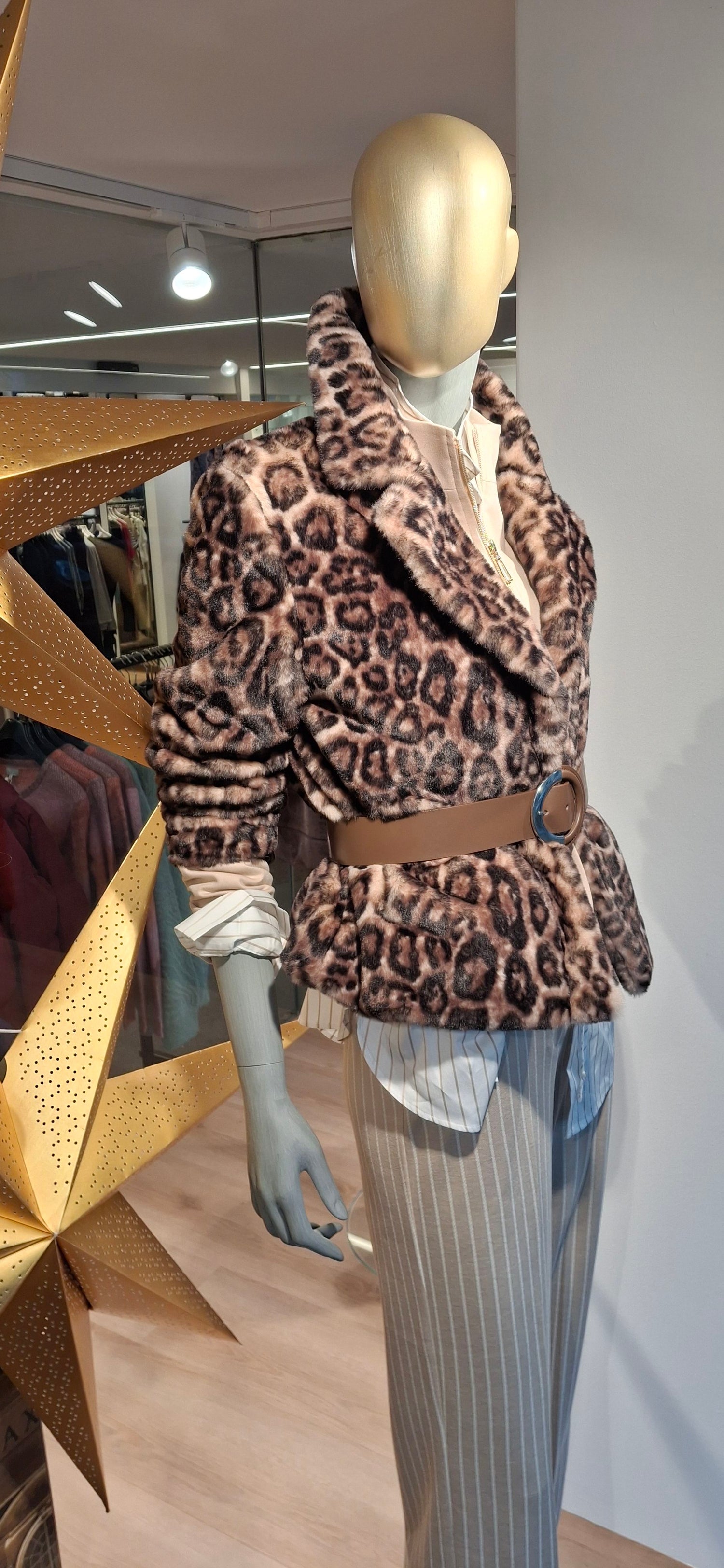 426325803 28.11.2025  Schaufenste 0