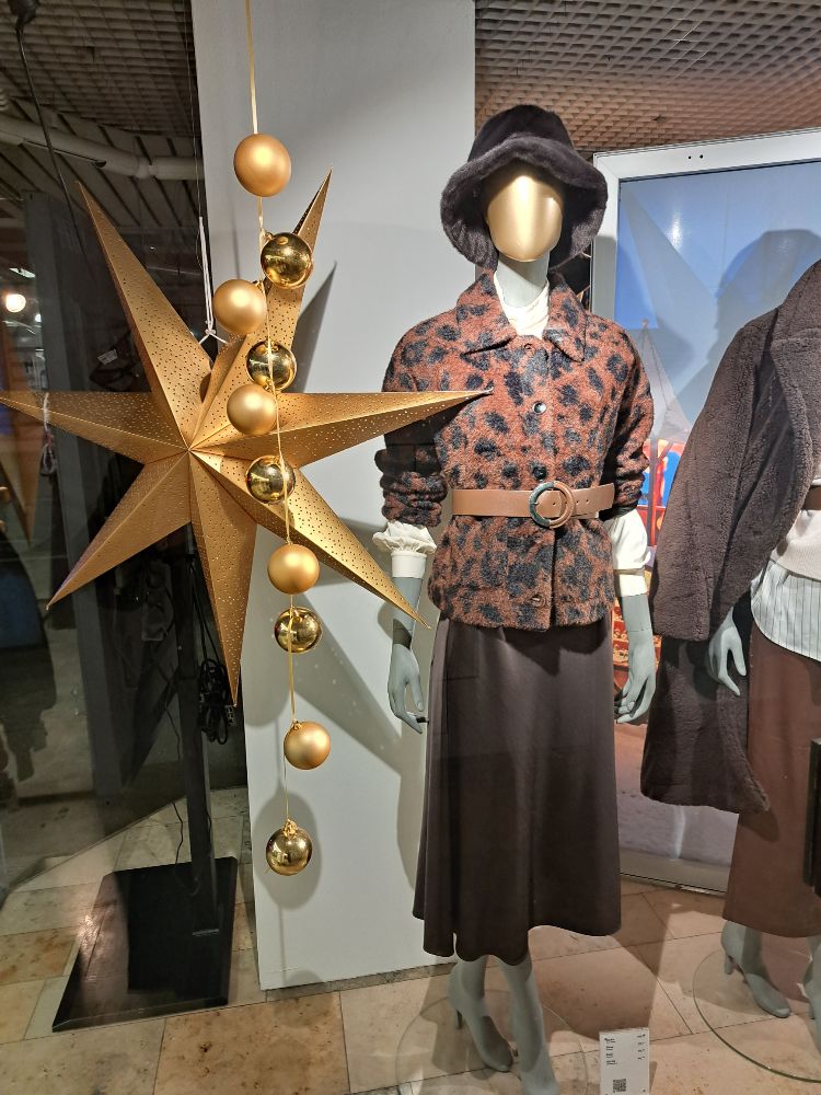 425952716 26.11.2025  Schaufenste 5