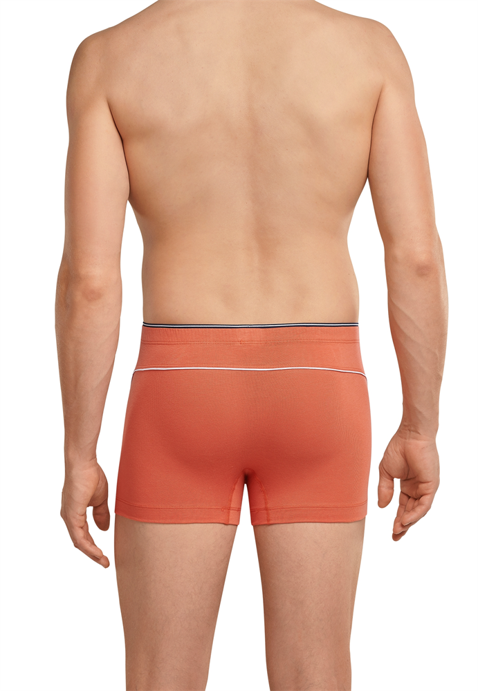 Shorts - 173806