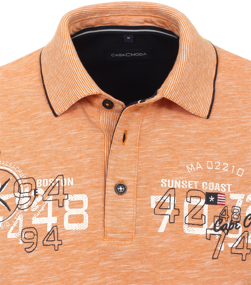 Polo - 923877600