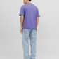 JORVESTERBRO PHOTO SS TEE CREW NECK - 12240123