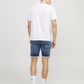 JJIRICK JJICON SHORTS GE 341 I.K SS - 12250169