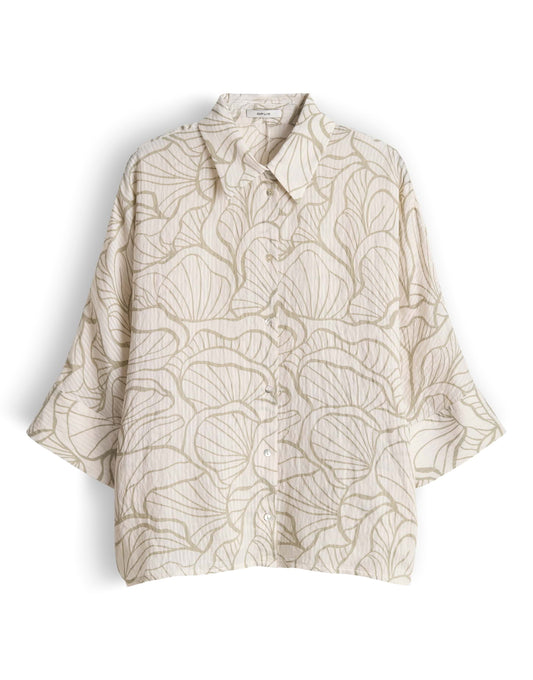 Fashell - 10550314082423