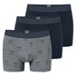 3PACK Shorts - 180197