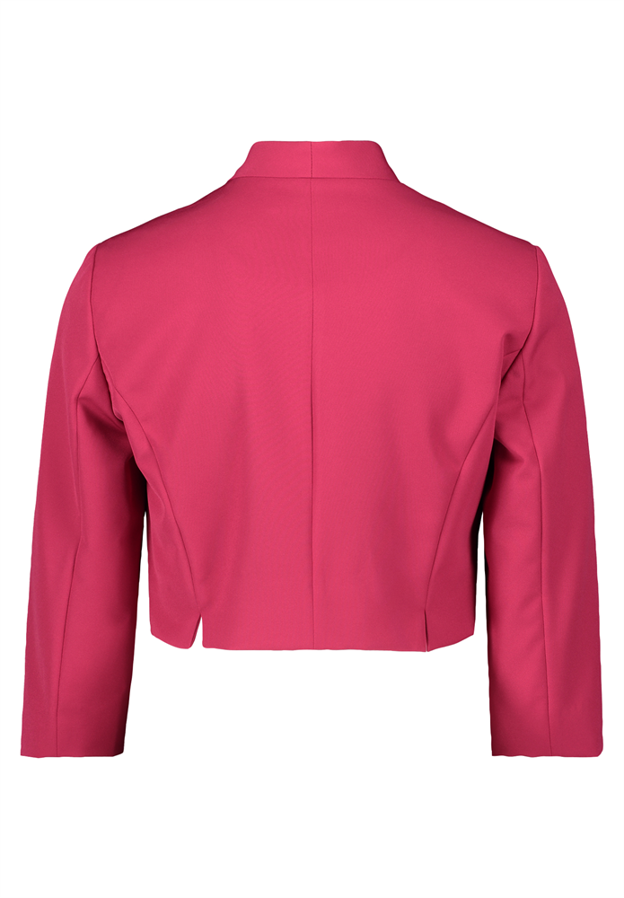 Blazer - 48894031