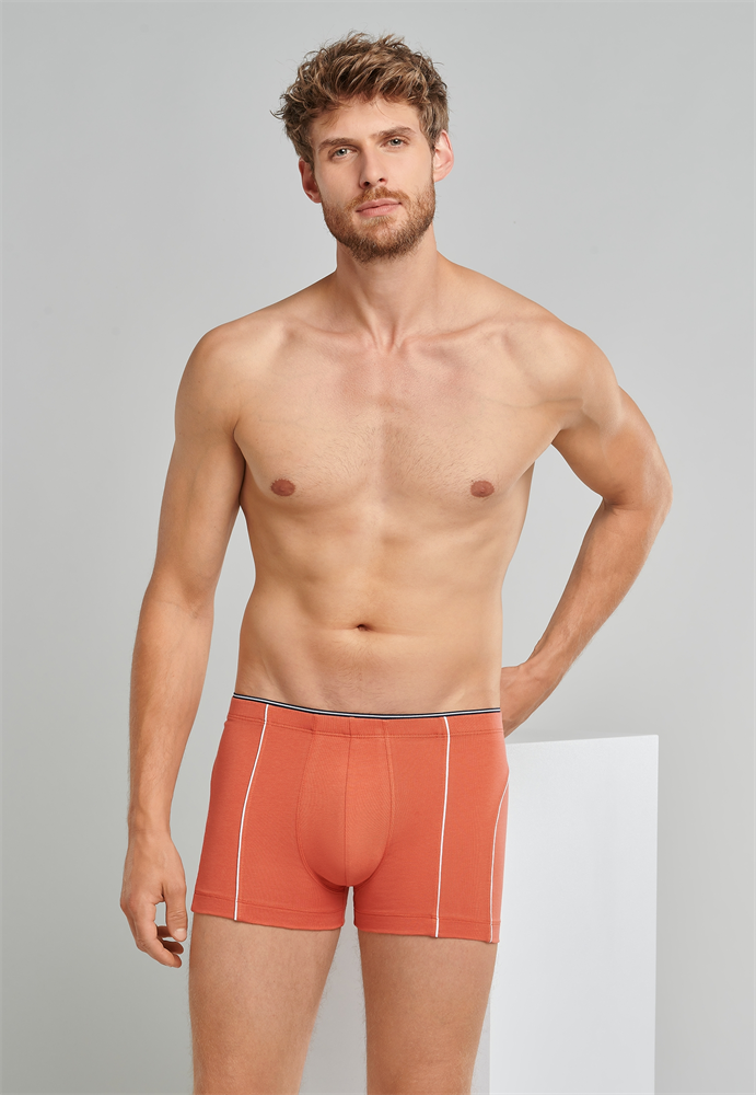 Shorts - 173806