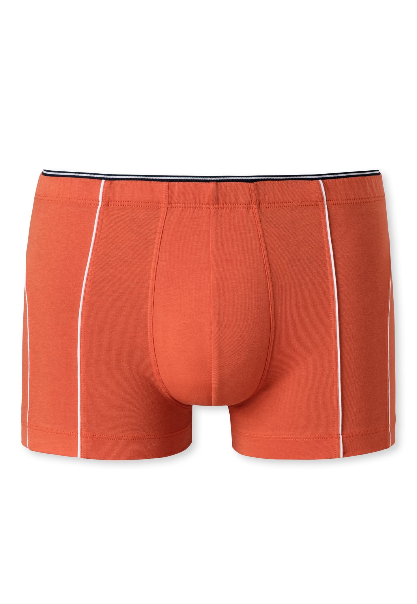 Shorts - 173806
