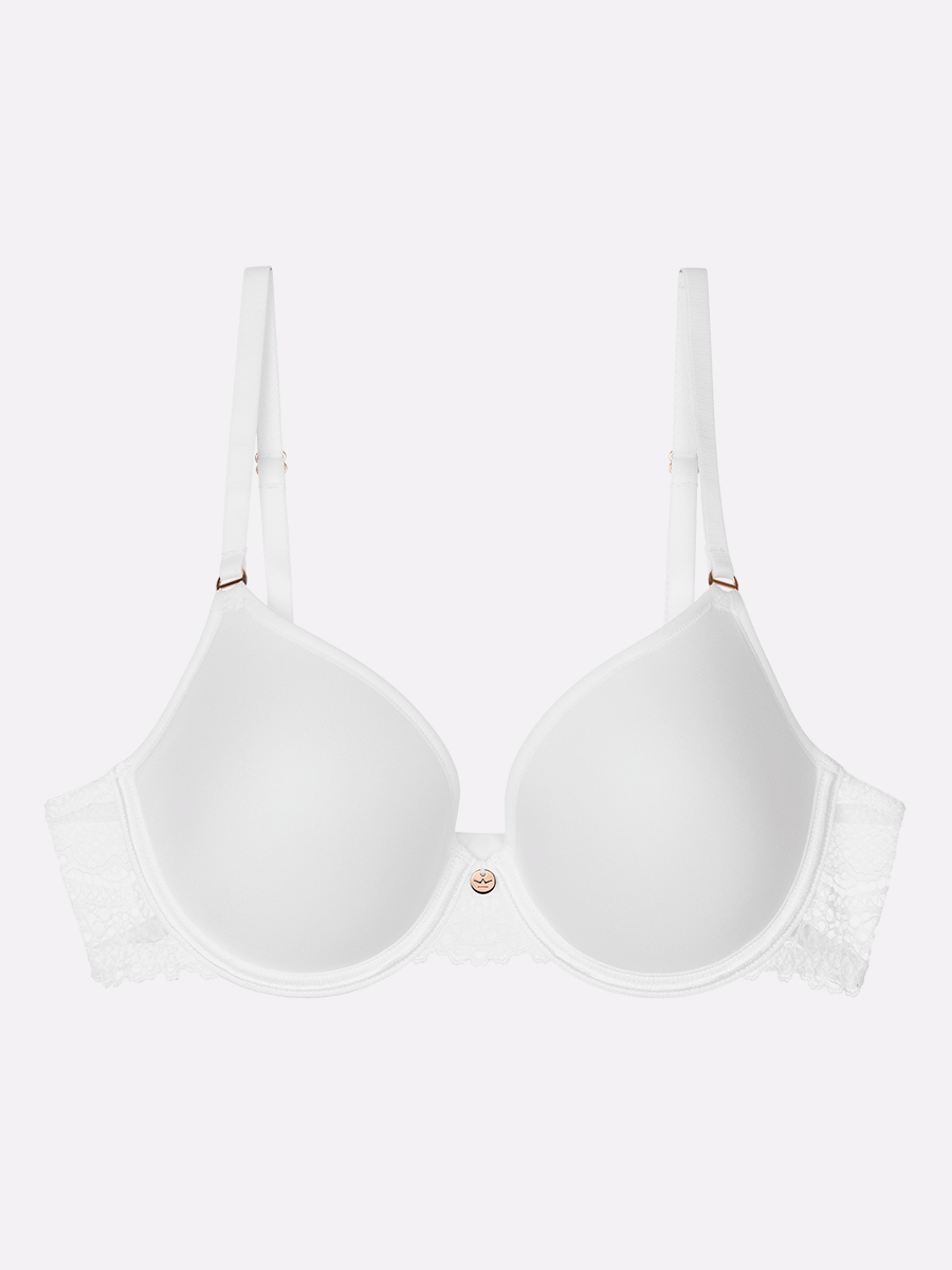 409773776 27.08.2025  Schaufenste 11