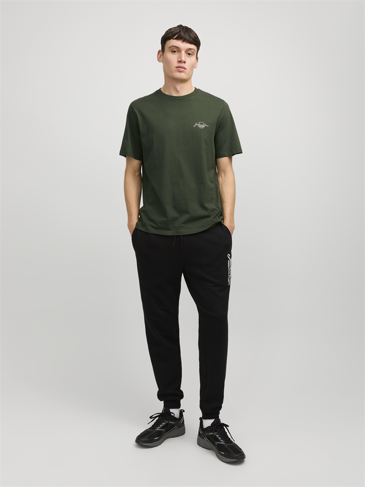 JJFERRIS TEE SS CREW NECK - 12256799