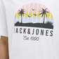 JJPALM TEE SS CREW NECK LN - 12269418
