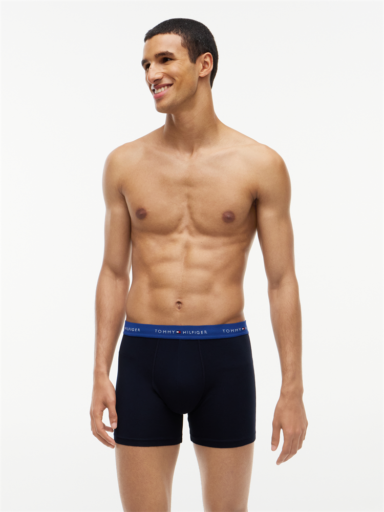3P BOXER BRIEF WB - UM0UM03874
