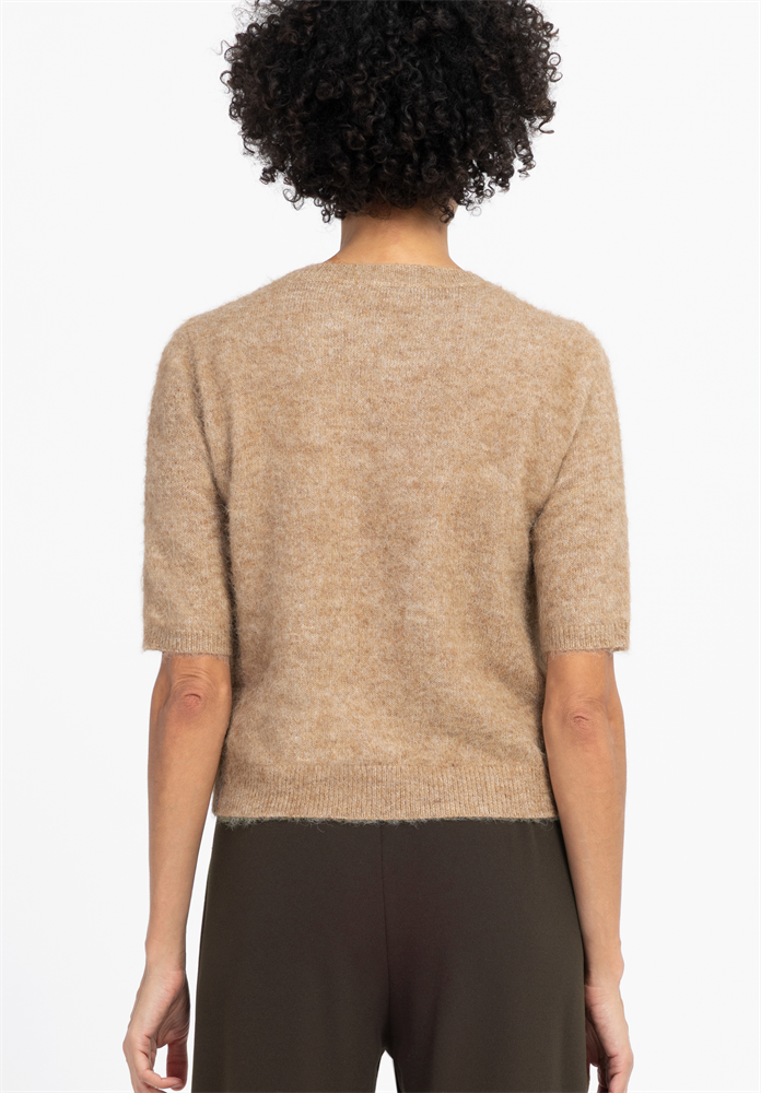 RENE - 88033