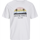 JJPALM TEE SS CREW NECK LN - 12269418